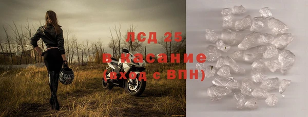 амф Богданович