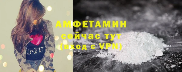 амф Богданович