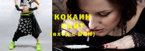 амф Богданович