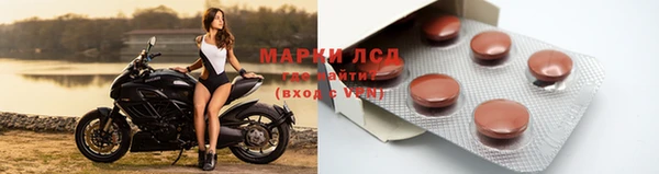 амф Богданович