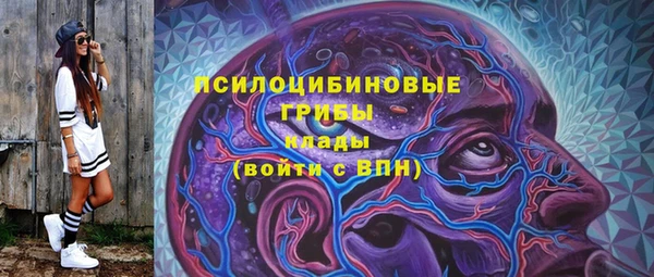 прущие крисы Богородск
