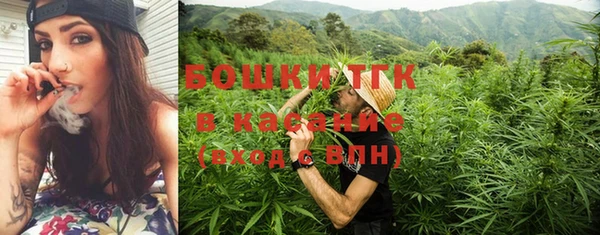 амф Богданович