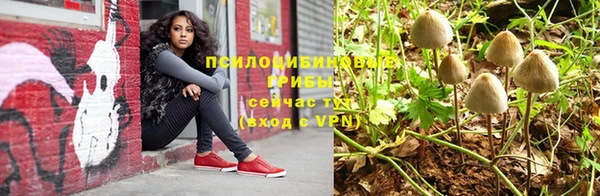 прущие крисы Богородск