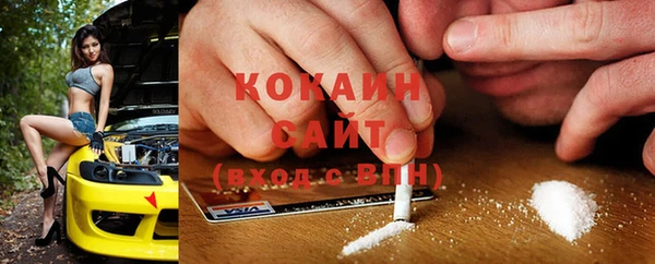 кокс Богородицк