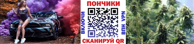 Канабис ГИДРОПОН  Хилок 